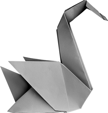 Agence marketing spécialisée en création de sites web